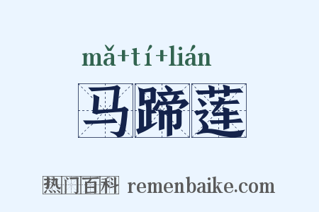 马蹄莲是什么意思的图片